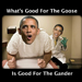 The Goose